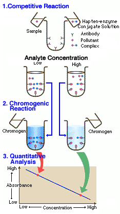 How does ELISA Work?:figure